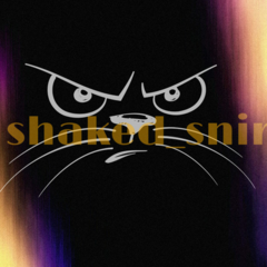 shaked_snir